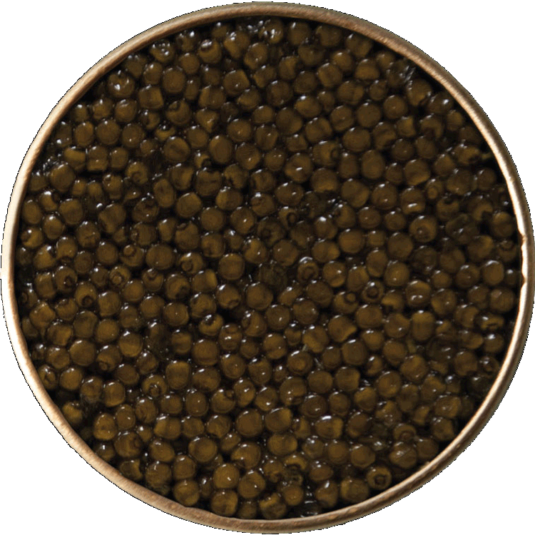 IMPERIAL GOLD Kaviar 125  Gramm - ACIPENSER SCHRENKII HUSO DAURICUS